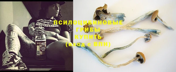 мяу мяу кристалл Бородино