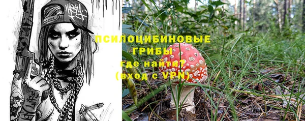 мяу мяу кристалл Бородино