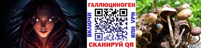 сколько стоит  Кемерово  Галлюциногенные грибы MAGIC MUSHROOMS 