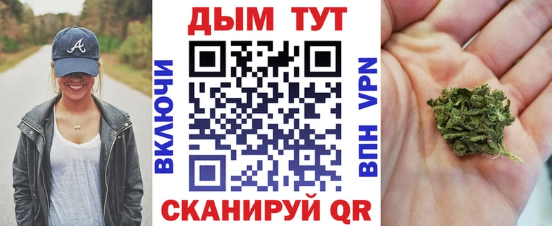 где купить наркоту  Кемерово  Бошки марихуана план 